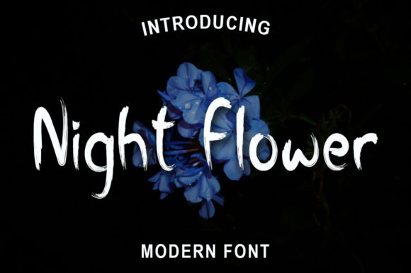 Enhance Your Editorial Design with the Night Flower Typeface