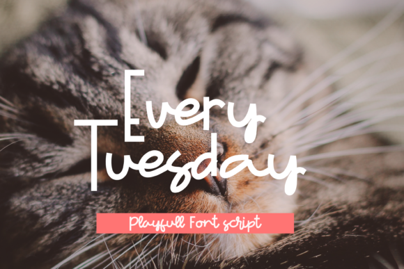 Every Tuesday: A Modern Handwritten Font for Your Brand