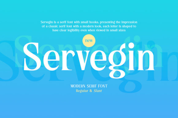 Servegin Serif Font Review for Real Projects
