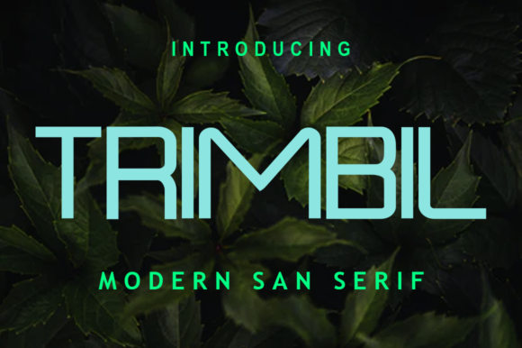 Trimbil: A Modern Sans Serif Font for Web Design