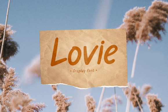 Upgrade Your Brand with the Lovie Font